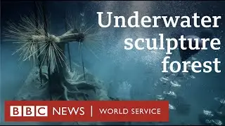 The underwater sculpture forest highlighting climate change - BBC World Service