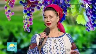 Doina Arsene Grigoraș - Moldovanu' pune banu'