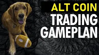 What Alt Coins To Buy In A Bull Market