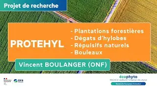 Projet PROTEHYL – Répulsifs naturels en foresterie – Colloque Ecophyto R&I Juin 2025