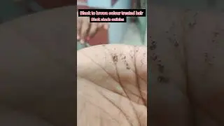 How to check colour treated hair #haircare #hairchemical#haircolor #shorts #viral #youtubeshorts