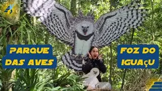 Parque das Aves em Foz do Igua&ccedil;u: uma experi&ecirc;ncia na Mata Atl&acirc;ntica