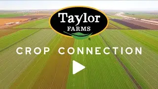 Taylor Farms &laquo;СВЯЗЬ С УРОКОМ&raquo; Март 2023 г.