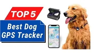 TOP 5 Best Dog GPS Tracker in 2026