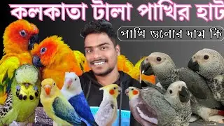 সস্তায় পাখি কিনুন কলকাতা টালা মার্কেটে 🛑 galiff Street market #parrot