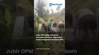 Detik-detik OPM Tembak Jatuh Pesawat Pengintai, Jubir OPM: Kami Bertanggung Jawab!