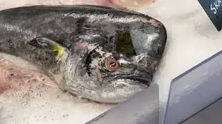 Fish Store | Denmark | #indianindenmark | Kya kya machhi milta hai