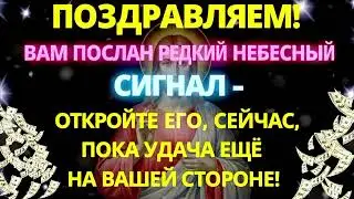 🔔 ЖИЗНЬ ПОДАЁТ ЗНАК: ЭТОТ МОМЕНТ МОЖЕТ ИЗМЕНИТЬ ВАШ ВЗГЛЯД НА ПУТЬ