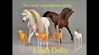Рекламный ролик Elleo Dolls (Анастасия Моисеенко)