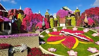 Miracle Garden Dubai | A Colorful Paradise in the Desert