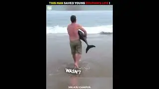 Этот мужчина спас жизнь молодому дельфину: настоящий герой 🫡