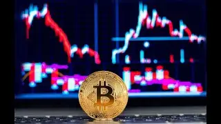 mrCrypto is live #bitcoin #crypto #forex #shorts #trending