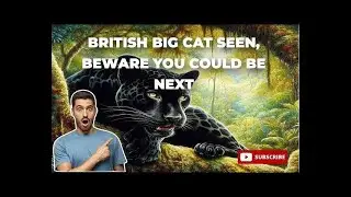 Big Cat Sighting's Uk real  Norton Panther New this year October 2024 more footage