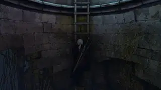 The Witcher 3 Ladders Fix