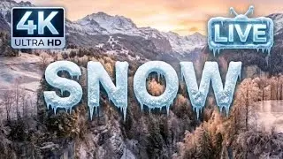 Испытайте зиму в Швейцарии ❄️ Самая красивая замёрзшая природа на свете