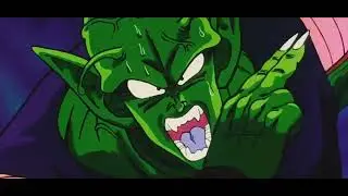 Top 5 piccolo facts