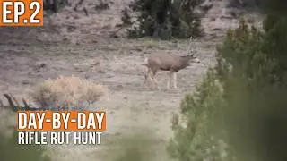 We Found a GOOD One! | Rifle Rut Hunt (EP.2)