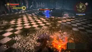 The Witcher 2 Final Boss Battle Letho [Epilogue] HD EVGA GTX 570