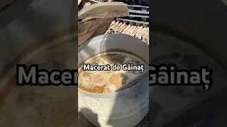 Maceratul de g&acirc;inaț #bunicalucretia #macerat #maceratdegainat