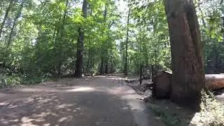 Lubber Run Trail (heading upstream)