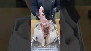 Pros and Cons for Spatchcocking your Turkey or any bird