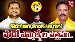 ఎమ్మెల్యే కథ రివర్స్? Nandikotkur Politics | MLA Githa Jayasurya | Kodumur MLA Boggula Dastagiri