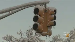 Winter Storm Takes Down Power, Trees In New Jersey