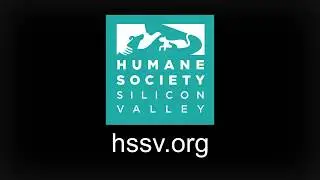 Summer Fund Drive