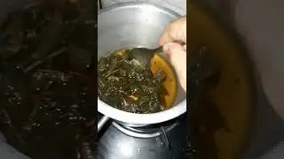 Gudmar Leaves Kadha | Gudmar Ke Patte For Diabetes Cure | Gymnema Sylvestre | Gudmar For Diabetes
