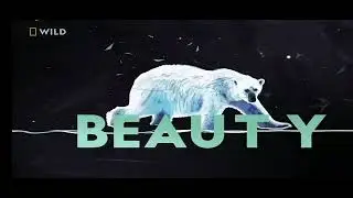 National Geographic Wild (Asia) Ident Celebrate Nature (1) (From October 1, 2022)