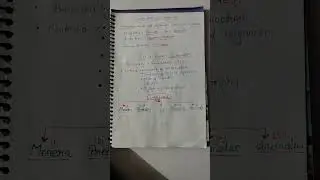 Classification system//classification of organism//biology//facts