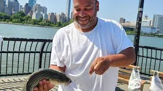 WEEKEND PORGY AND STRIPED BASS HUNT 6-21-25