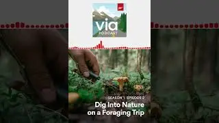 Dig Into Nature on a Foraging Trip | Via Podcast