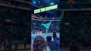 ELLIE IN THE HOUSE! 🐘#wnba #liberty #newyorkliberty #ellie #elephant #mascot #newyorkliberty #nyc