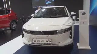 Great Wall ORA IQ Enjoyable (2020) Exterior and Interior