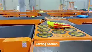 Barcode Scanning, Weighing, and Sorting Line