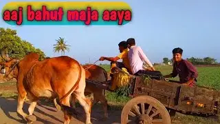 aaj hamne bel-gadi se kya kiya....