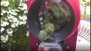 Girl Trimming with CenturionPro Tabletop!