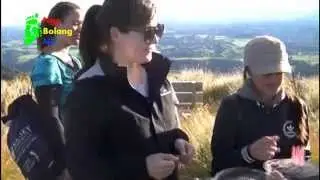 Ruahine Forest Park: Rangiwahia