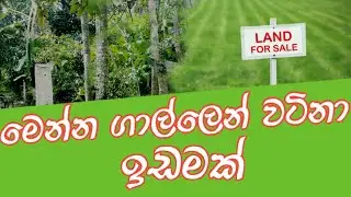 මෙන්න ගාල්ලෙන් වටිනා ඉඩමක් | Land for sale in galle | land for sale #landforsale #property #idam