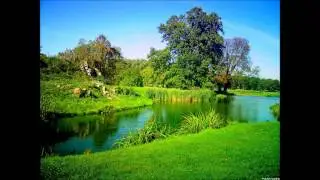 Pure Relaxation Saxophone Music on Ben Tankard by Jan van Oort
