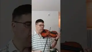 Franz Hoffman 4/4 Danube violin
