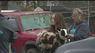 Humane agents find over 100 animals at North Bloomfield home