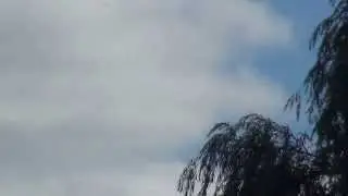 2013 Toronto Air Show Snowbirds Flyby