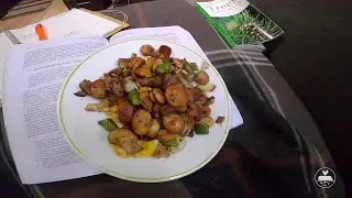 Strand Farm | Strandventure | Mushroom Forage and Cooking | Part 1/2