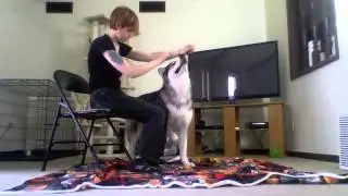 On Service Dogs: Task Training: Interrupting Self-harm