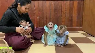 Chichi Scream Near Linda Because She Want To Take Twin Baby From Mom