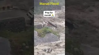 Manali Flood 2025  | Flood In Himachal Pradesh #flood #heavyrain