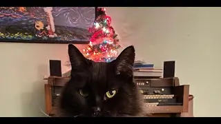 Annual Xmas Eve Live Night O' Clock with Joe Auger Dec 24 8pm