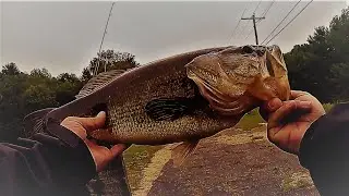 POND HOPPING IN MASSACHUSETTS!